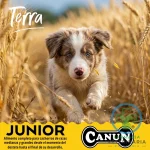 CANUN TERRA JUNIOR 18 KG Cachorros medianos y grandes - Imagen 4