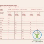 ORIGINAL CAT KITTEN 7 KG Alimento monoproteico para Gatitos - Imagen 2