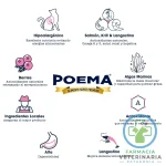 POEMA GATO ADULTO SALMÓN & KRILL CONTROL URINARIO 2 KG - Imagen 3