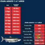 POEMA SALMÓN & ARROZ ADULTOS 12 KG Alimento Hipoalergénico - Imagen 2