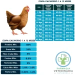 POEMA POLLO & ARROZ CACHORROS 3 KG Alimento para cachorros - Imagen 2
