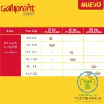GALLIPRANT 20 MG 30 COMPRIMIDOS Aine de uso crónico - Imagen 2