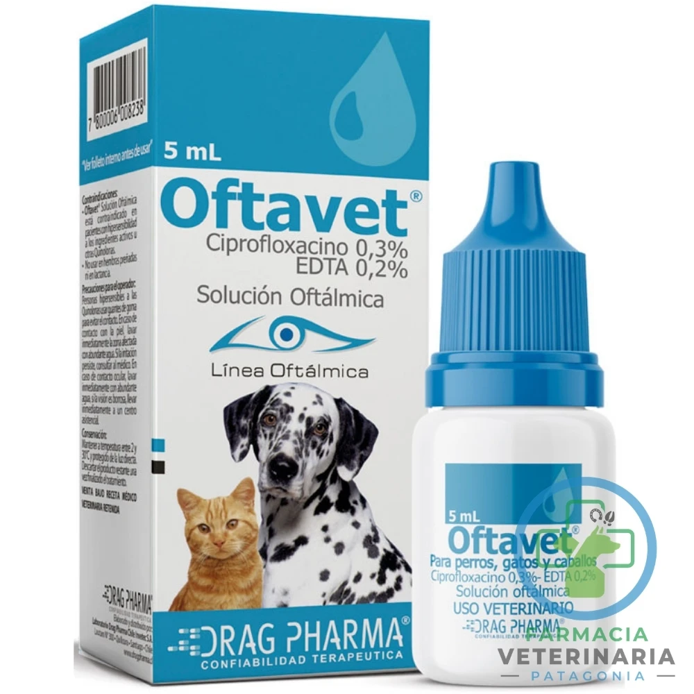 antibiotico-cicatrizante-gotas-ojo-conjuntivitis-perro-gato-caballo-oftavet-5-ml OFTAVET 5 ML Antibiótico Oftálmico para Mascotas - Imagen 1