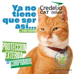 CREDELIO CATS 1 COMPRIMIDO 2 HASTA 8 KG Antiparasitario - Imagen 2