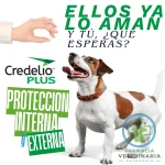 CREDELIO PLUS 1 COMPRIMIDO 11 HASTA 22 KG Antiparasitario - Imagen 2