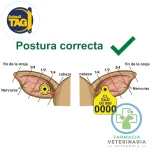 ARETE ANIMALLTAG DIIO FDX UNIDAD Para bovinos - Imagen 2