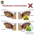 ARETE ANIMALLTAG DIIO FDX UNIDAD Para bovinos - Imagen 3