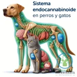 CBD CALMING CHEWS PARA PERROS 30 MASTICABLES Cannabis - Imagen 3