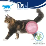 FURINAID PLUS 200 ML Soporte para la Cistitis Felina (CIF) - Imagen 2
