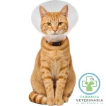 COLLAR ISABELINO BUSTER 12.5 CM Postoperatorio - Imagen 3