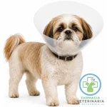 COLLAR ISABELINO BUSTER 12.5 CM Postoperatorio - Imagen 2