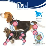 STRIDE PLUS PERROS 200 ML Suplemento Articular para mascotas - Imagen 2