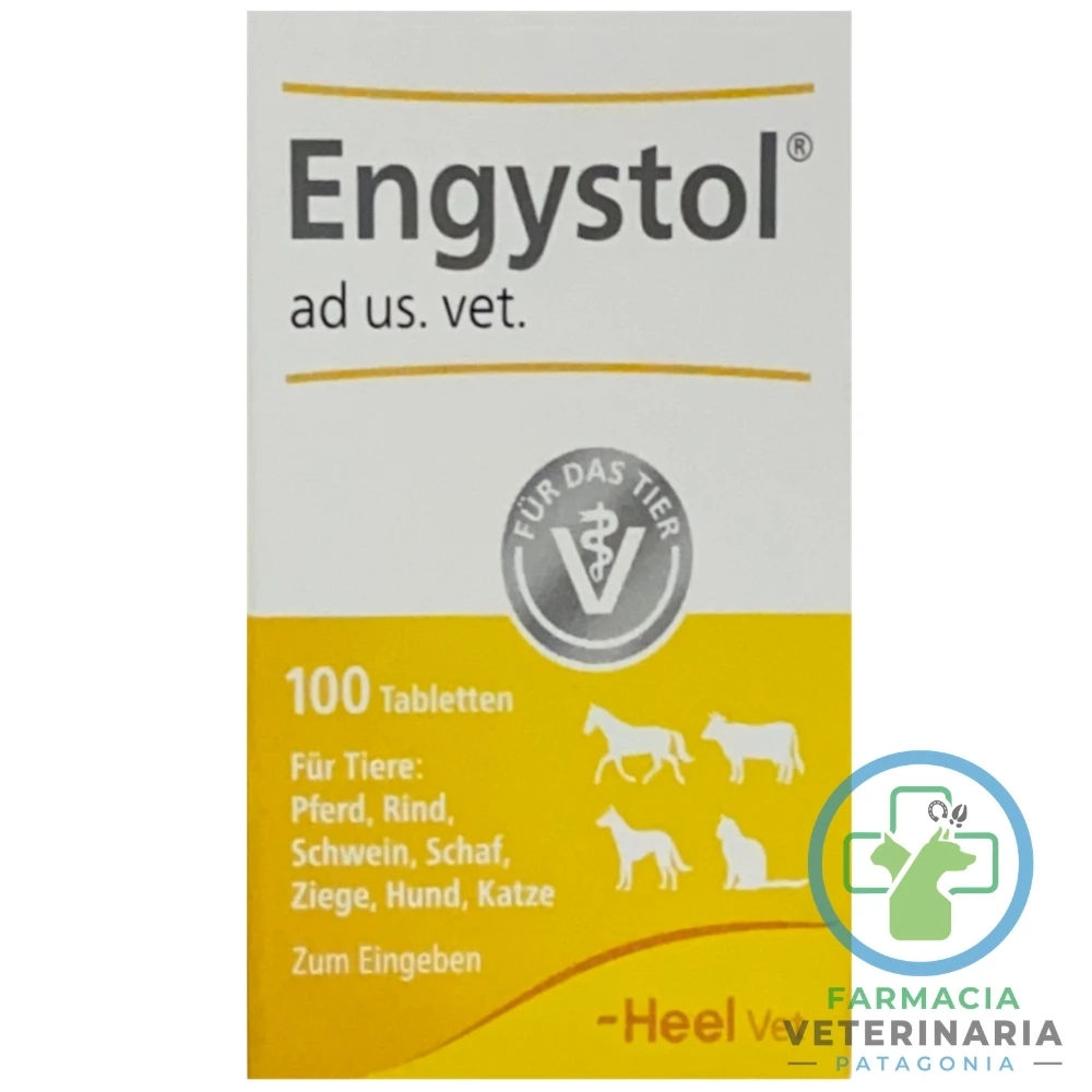 inmunomodulador-perros-gatos-engystol-100-comprimidos-procesos-virales-respiratorios-heel ENGYSTOL 100 COMPRIMIDOS Inmunomodulador veterinario - Imagen 1
