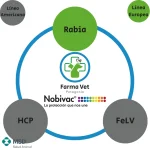 NOBIVAC CAT FELV 5 DOSIS Vacuna Leucemia Felina - Imagen 3