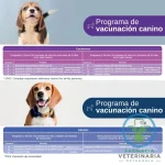 NOBIVAC RABIA MULTIDOSIS 10 DOSIS Vacuna Antirrábica - Imagen 2