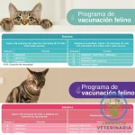 NOBIVAC RABIA MULTIDOSIS 10 DOSIS Vacuna Antirrábica - Imagen 3
