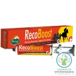 RECOBOOST JERINGA 80 ML Recuperación equina intensiva