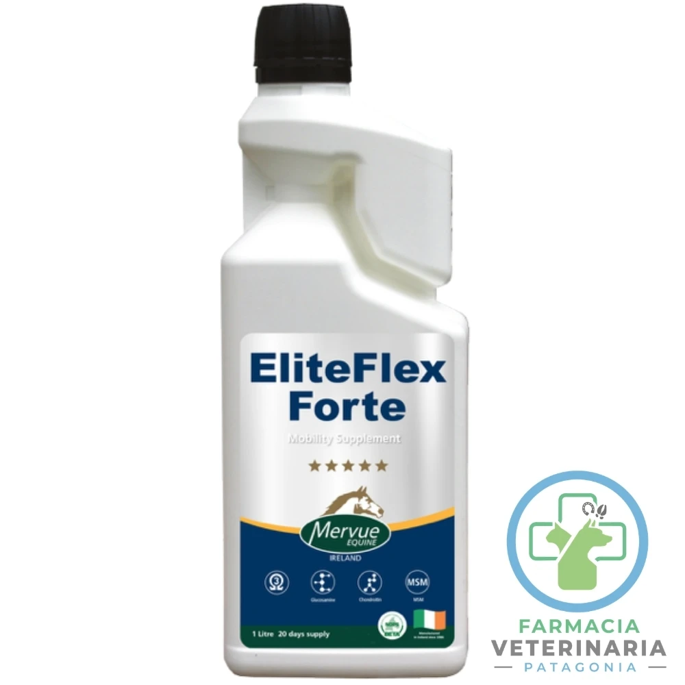 suplemento-articular-equino-elite-flex-forte-1-lt-movilidad-cartilago-liquido-sinovial ELITE FLEX FORTE 1 LT Suplemento articular equino - Imagen 1