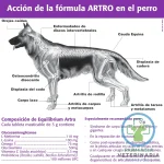 EQUILIBRIUM ARTRO 60 COMPRIMIDOS Condroprotector para perros - Imagen 2