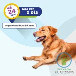FLEXADIN ADVANCED 60 COMPRIMIDOS MASTICABLES - Imagen 2