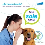 NEPTRA 2 PIPETAS Tratamiento de 28 días para Otitis Canina - Imagen 2